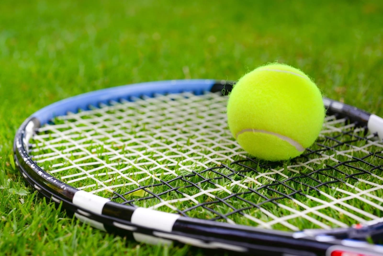 A tennis ball on a racket lying in the grass